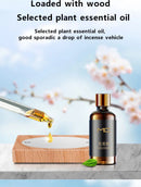 Avião para Painel Perfumador de Ambiente !